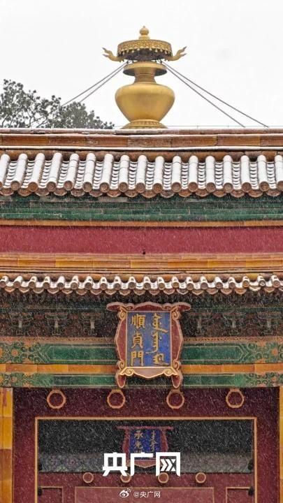 一下雪故宫就美成了紫禁城