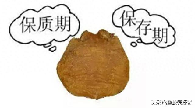 花胶晒干多久能吃 2026年花胶晒干到上市要多久