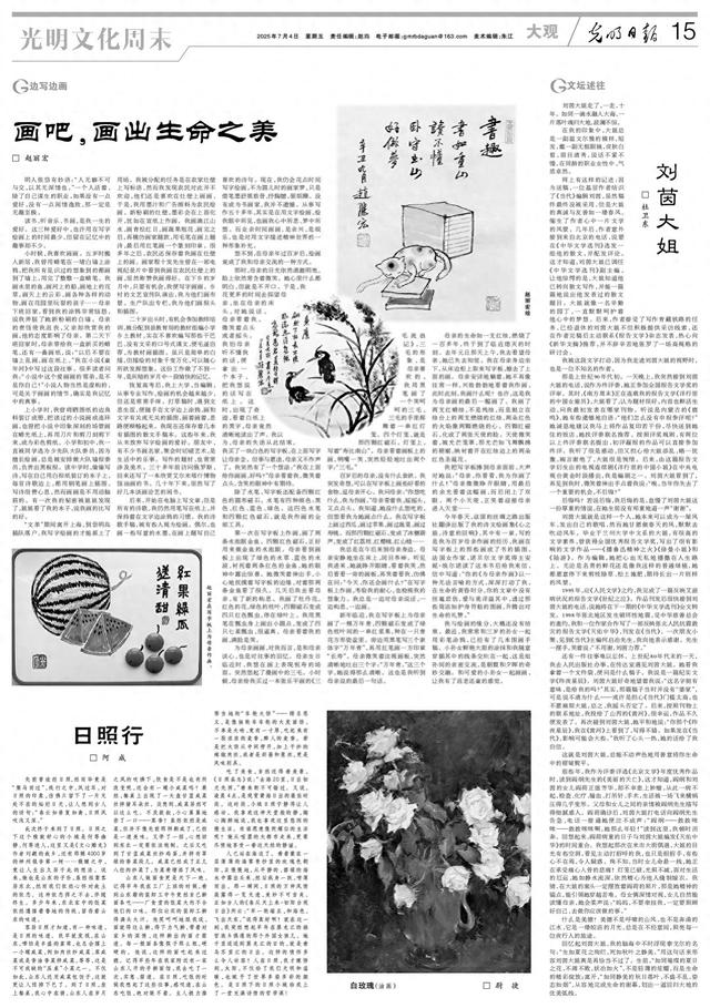 日照行