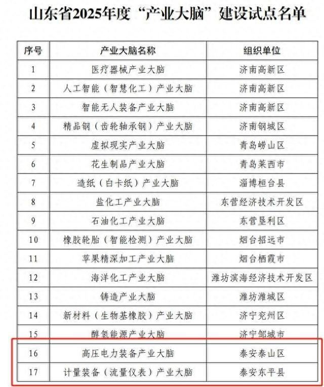 泰安市2家单位入选2025年省级“产业大脑”建设试点名单