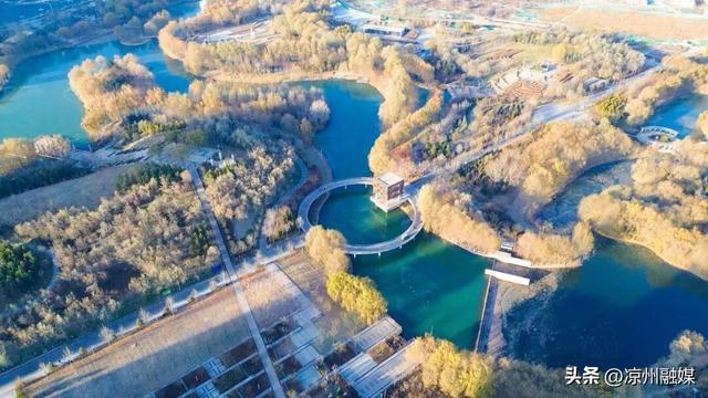 冬日海藏 温柔满溢