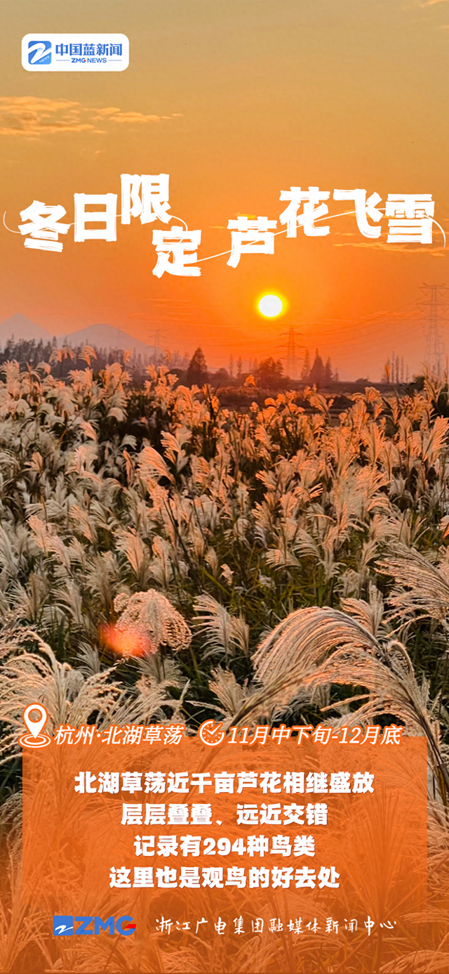 多彩海报丨“浙”里过冬好去处