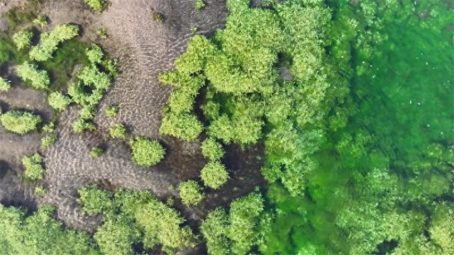 三九严寒“冰上走”！乌拉特中旗这处“不冻泉”却流水潺潺