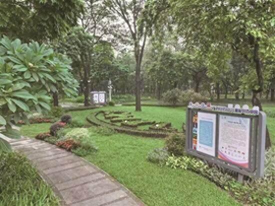 广州二沙岛儿童友好百草园开园，300平方米园区全天开放