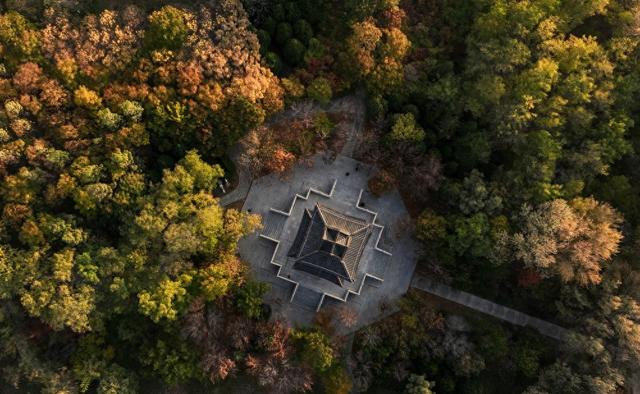 美丽中国丨塞上湖城秋意浓