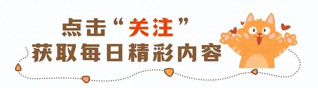果然，发疯的人先享受世界！看完心情都舒畅了！