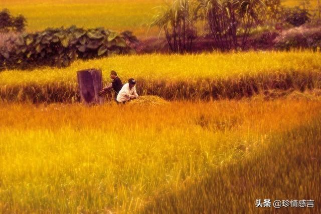 两性关系：60岁大姐的大实话，男人过了65岁，只剩下一个“用处”