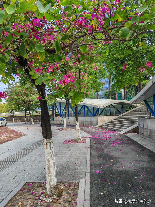 参观广州艺术博物院！它的独特岭南风格和现代美感成为广州新地标