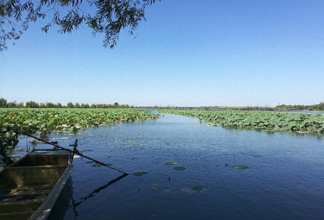 河北衡水湖，被誉为“京南第一湖”，是放松身心的好去处