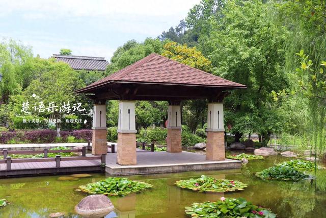 宁波余姚这个荷花园很有诗画意境，周边美景云集，是溯溪露营胜地