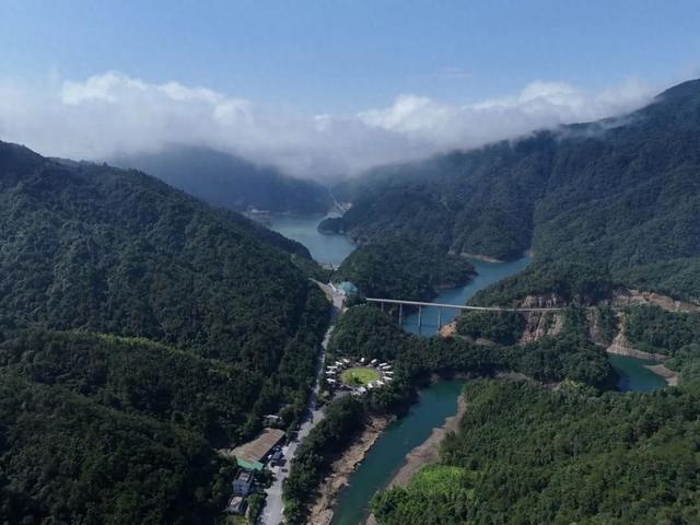 桂在交旅｜酷暑难耐？广西这条自驾路线，直通18°C的森林氧吧