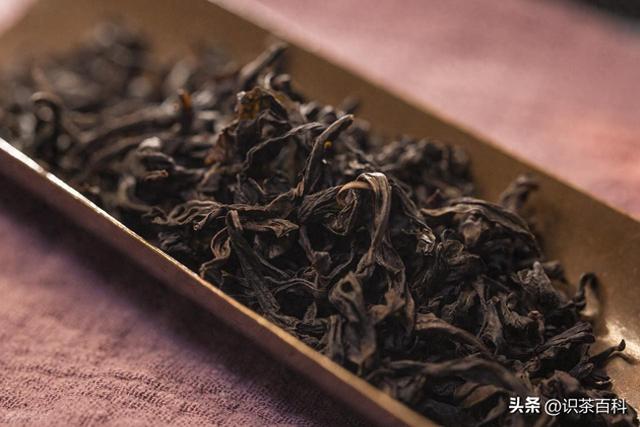 武夷大红袍简介（一文读懂武夷岩茶之大红袍）
