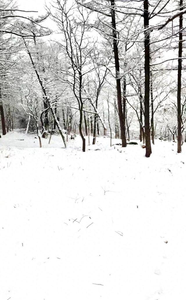 春雪润崂山，太清入画来