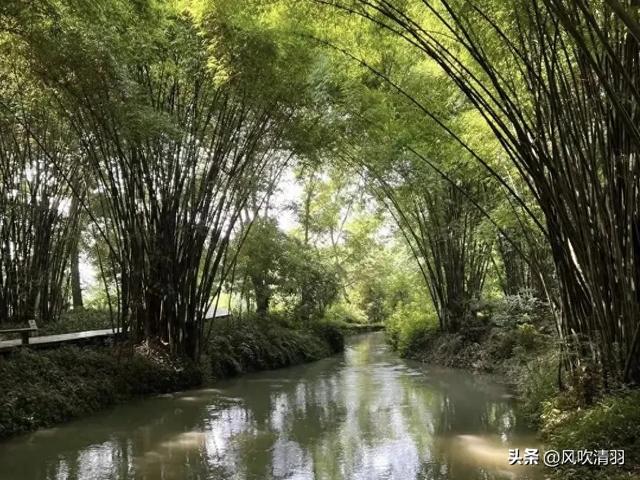 成都一个低调4A级森林公园，有240多年历史，都市人的“后花园”