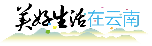 美好生活在云南｜秋日泸沽湖畔格桑花开成海
