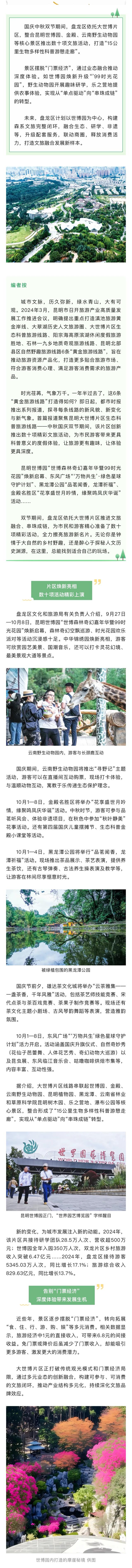 盘龙区文旅融合绘就森系新画卷 大世博片区发出文旅新名片