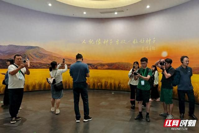 张吉怀E起游侧记⑤丨纵览怀化两洪时空！看张吉怀达人48小时文明“深潜”记