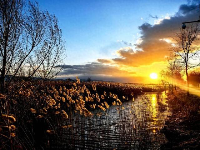 追完落日住下来！野鸭湖明年开启康养度假新场景