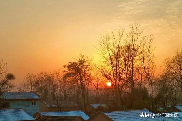 零下15度！河南四九天迎来寒冷暴击，真的要“猫冬”了？