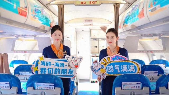 山海冬韵・鸥遇青岛 | “上天入海”场景联动，市南邀您开启鸥遇之旅