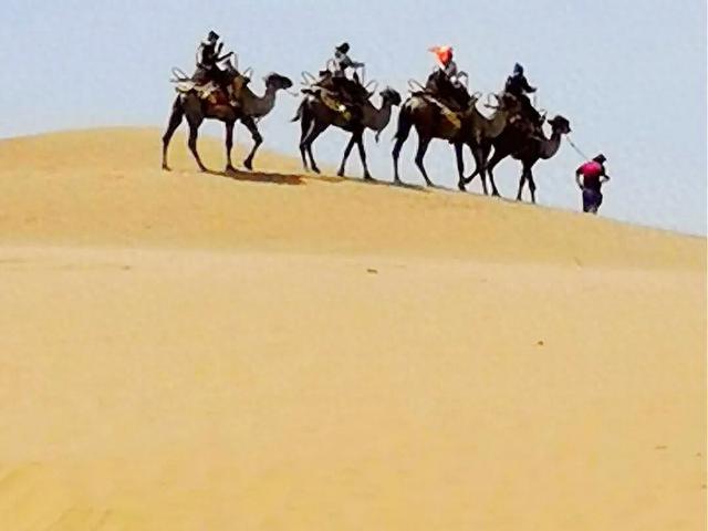 新疆罗布人村寨