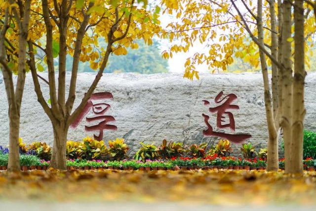 藏不住了！攒了整个秋天的北医美景，立冬前全部分享！