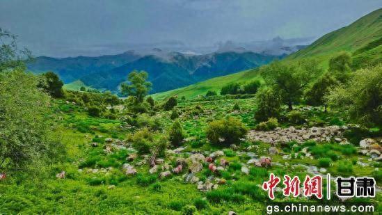 央媒看武威丨毛藏初秋：斑斓山水间的温柔诗意