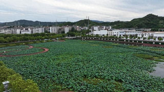 立秋送爽，太极湖新区成市民游客纳凉活力地