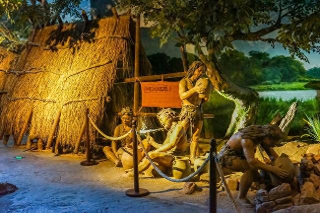 物种起源小游戏攻略（物种起源我们是谁从哪里来又到哪里去）