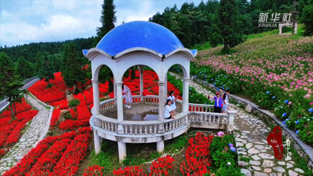 千城百县看中国｜湖北巴东：森林花海醉游人