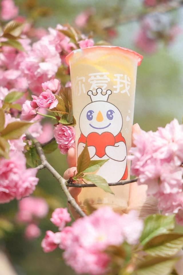 城厢村糖会预告！跨年就来青白江，好吃好玩好风光→