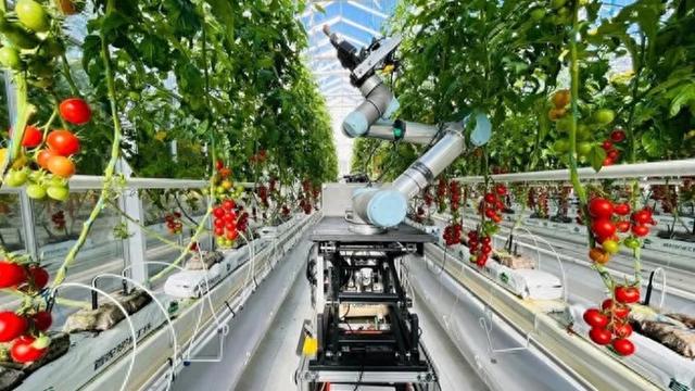 AI育种成果密集涌现，躬身入局者为何都说“太难了！”