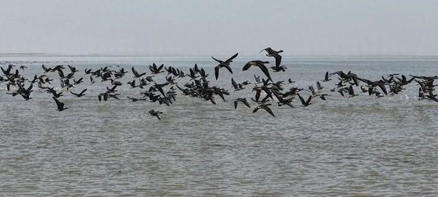 四大核心点位解锁万羽齐飞的冬日浪漫，快快收藏→