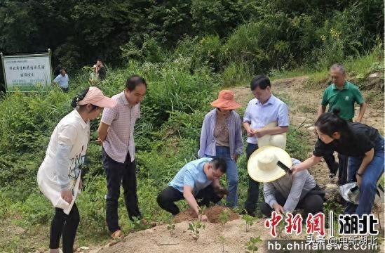 宜昌市夷陵区院士专家工作站增至14家