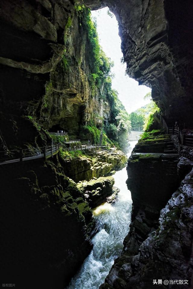 当代散文|“钻”地缝