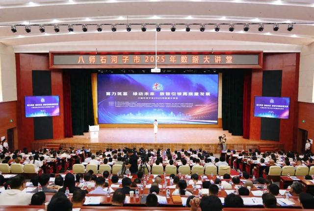 师市2025年数据大讲堂开讲