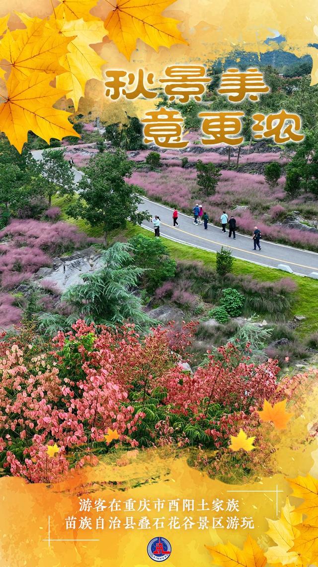 （图表·海报）秋景美 意更浓（2）