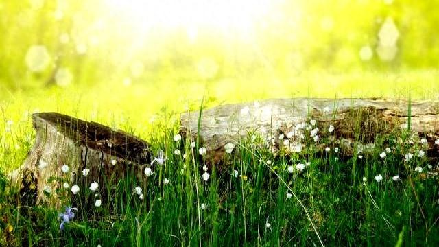 1月6日到1月11日，周一，生肖猪	，即将有事发生了