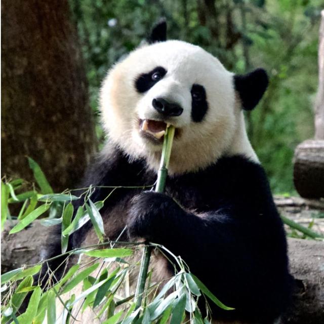舌尖上的中国：十大美食之都的饕餮之旅