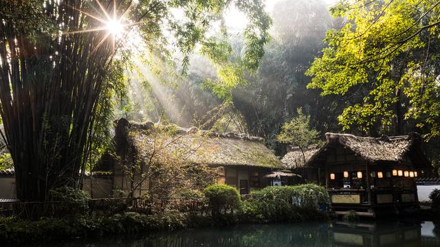 成都杜甫草堂博物馆建馆七十年 | 共赴一场关于诗与守护的岁月大展