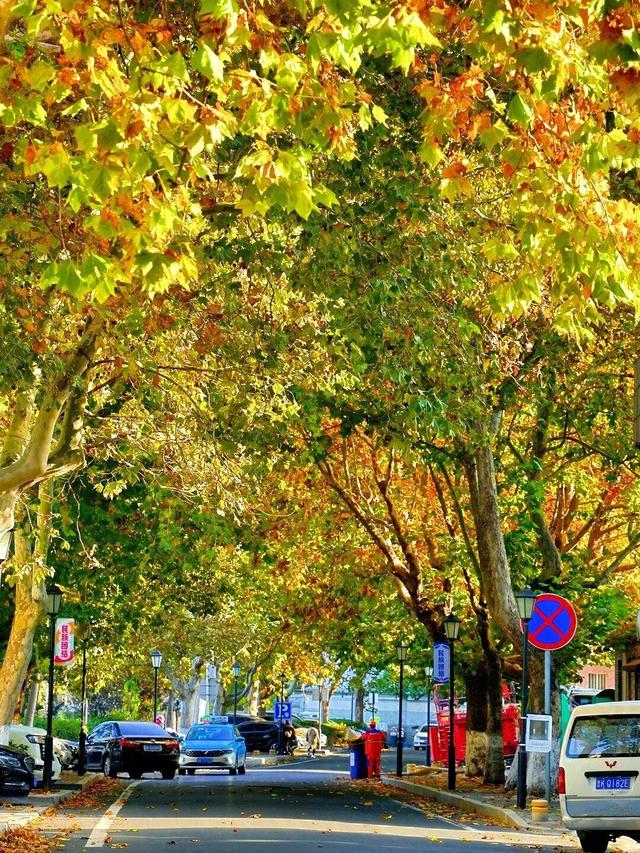 从1902年美到现在！威海这条870米的老街最近又有人扎堆了