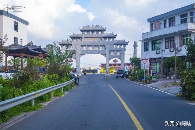 跑苍南黄金海岸线时走错路，邂逅离海浪沙滩最近的荷塘，花开仍艳
