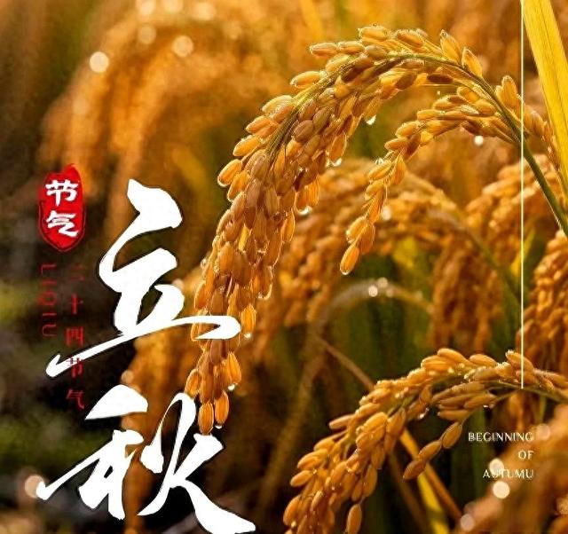 8月7日立秋，今年立秋不一般，有4个好消息，2个坏消息，可别不懂
