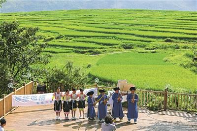 “民宿+稻田音乐会”激活高坡乡村游新玩法