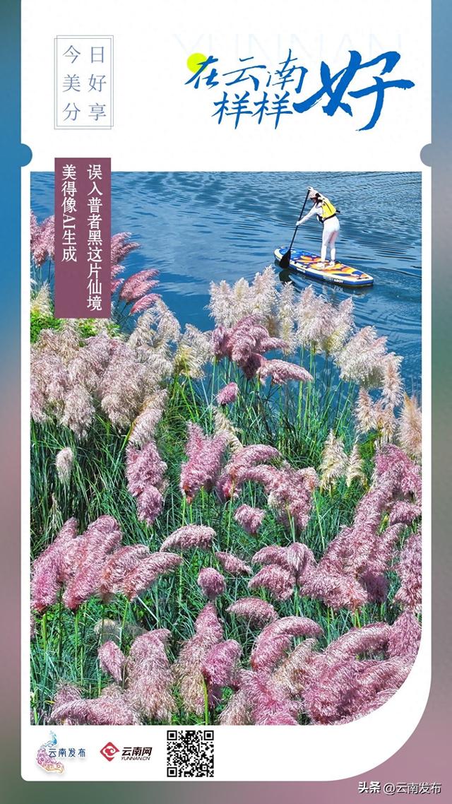 普者黑这片仙境美得像AI生成