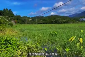 激动的心 颤抖的手，罕见大鳝鱼进笼扭一扭图片