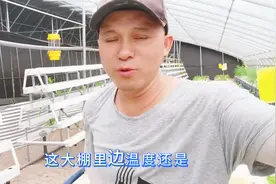 面积1：1，养殖鲟鱼50斤/立方水，一个棚432平米，...图片