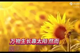 正午散步晒太阳  可以补充人体的阳气 这种说法靠谱吗图片