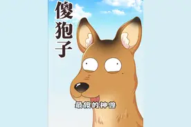 冰天雪地冷风吹，带你认识一下东北神兽之一的傻狍子！ #轻漫计划 #冷知识 #动物世界视频封面