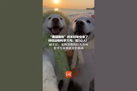 “撸猫撸狗”的本科专业来了 伴侣动物科学方向，招50人！副主任：宠物消费的巨大市场是学生未来就业的基础